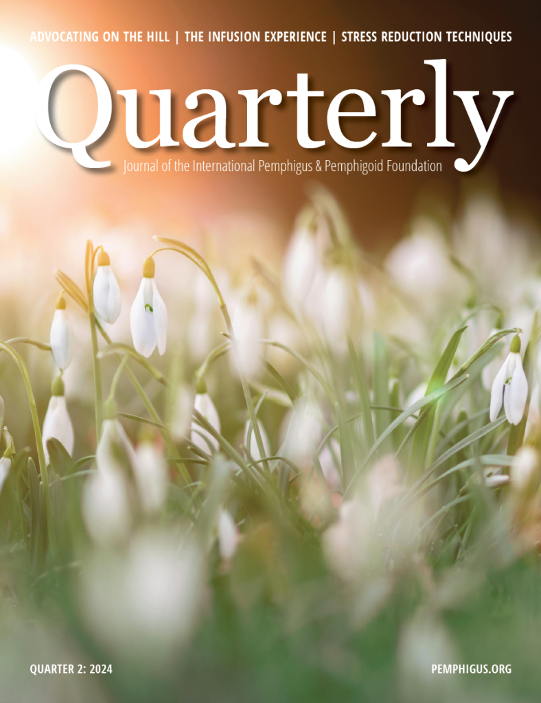 Q22024Quarterly IPPF