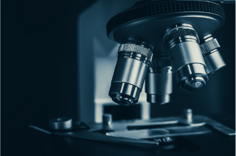 2026 IPPF Scientific Symposium on Pemphigus & Pemphigoid Image